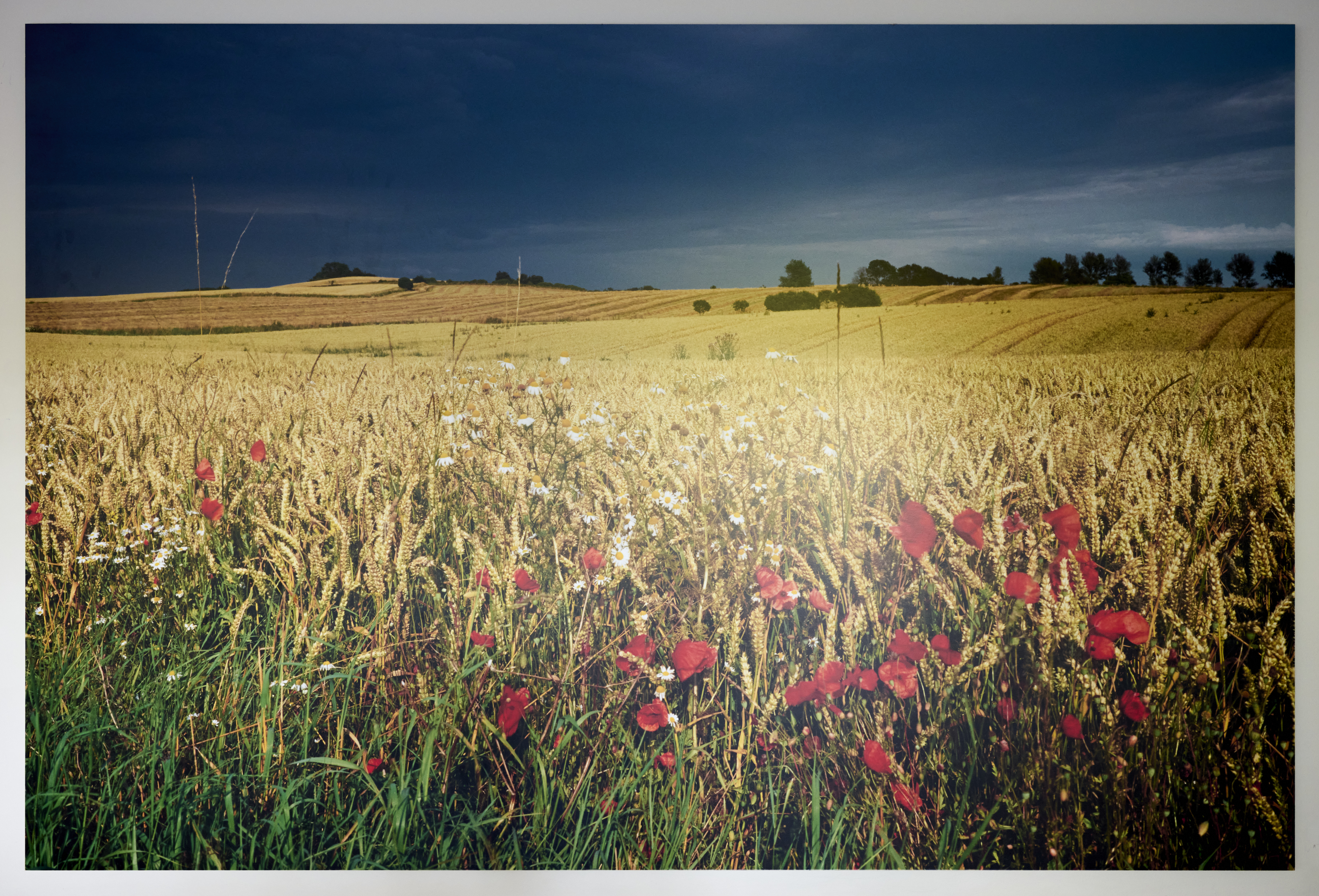 Kunst 251024 103031B