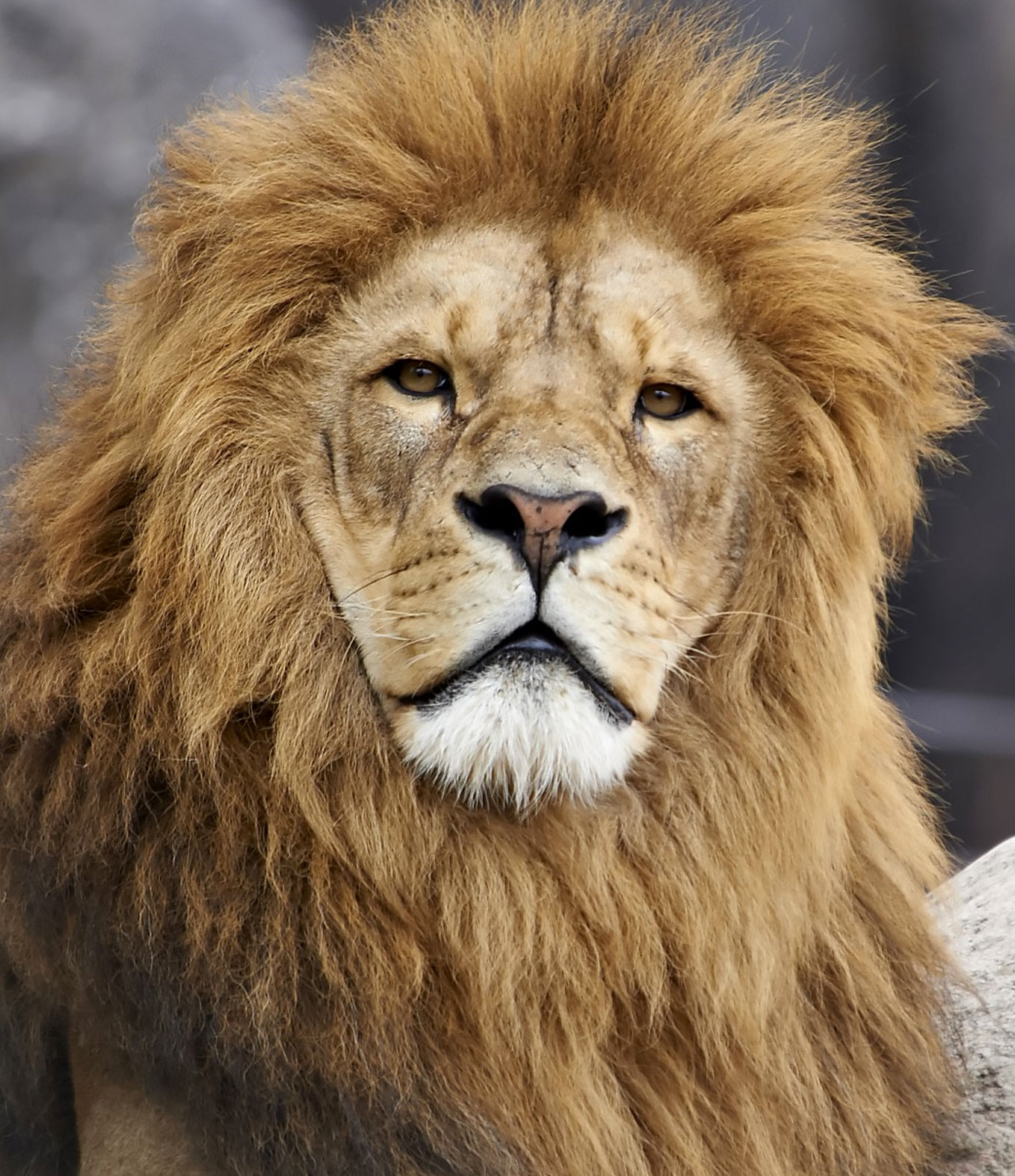 Skærmbillede 2023 01 03 Kl. 12.48.47