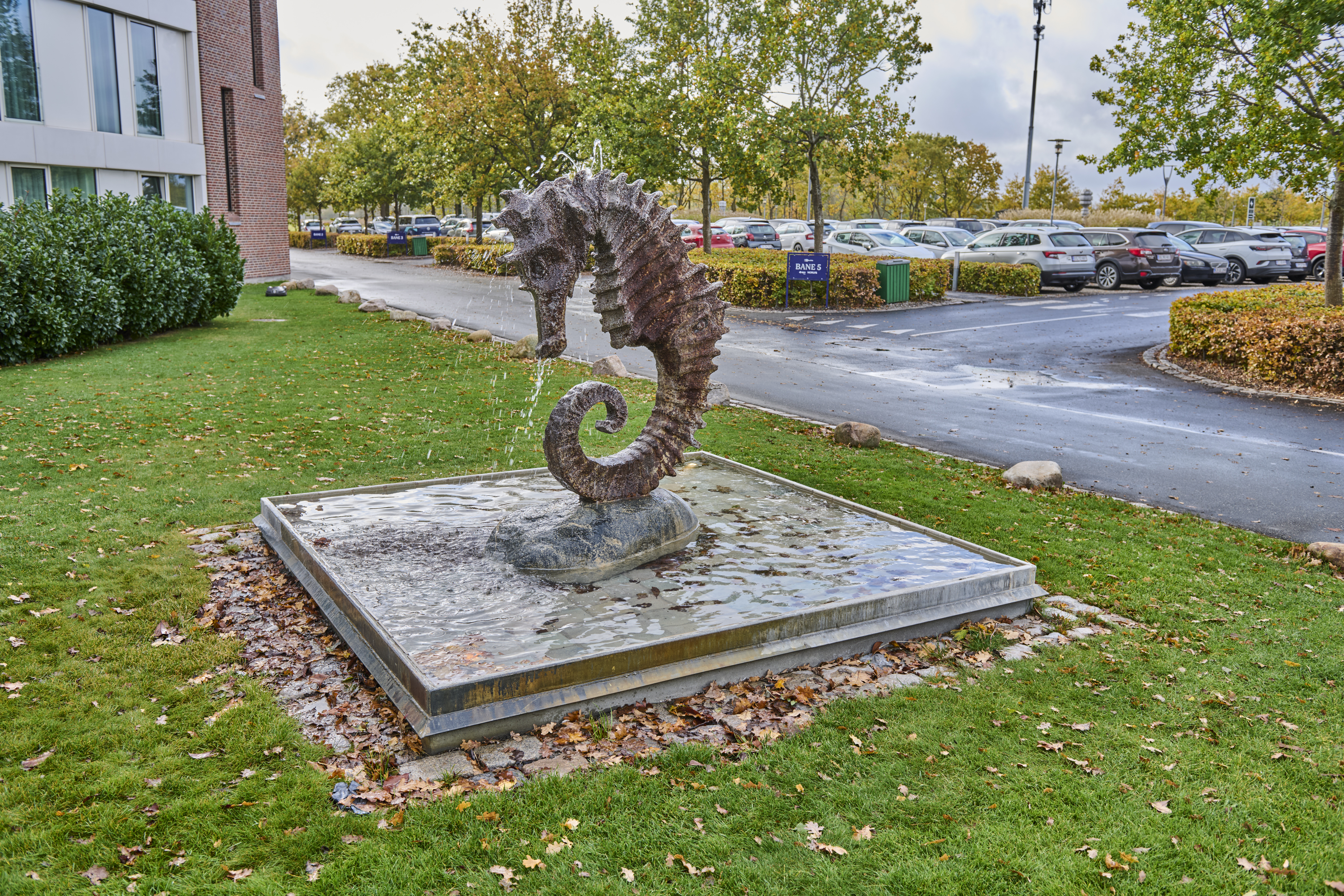 Kunst 251024 110620A